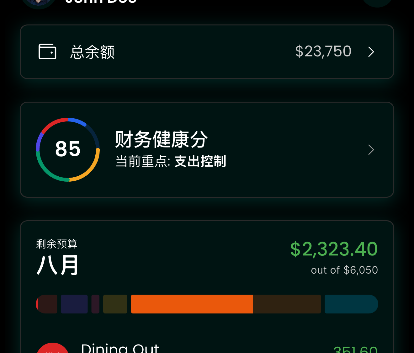 预算概览