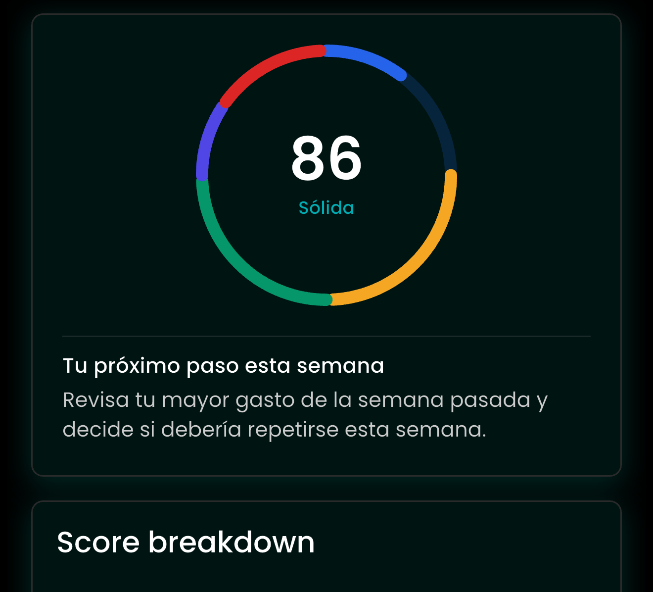 Financial Health Score