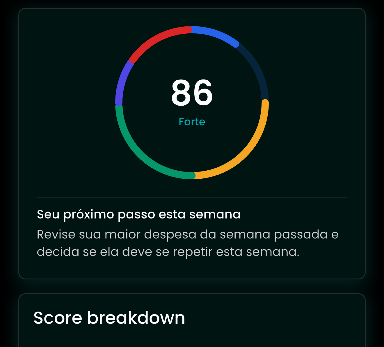 Financial Health Score