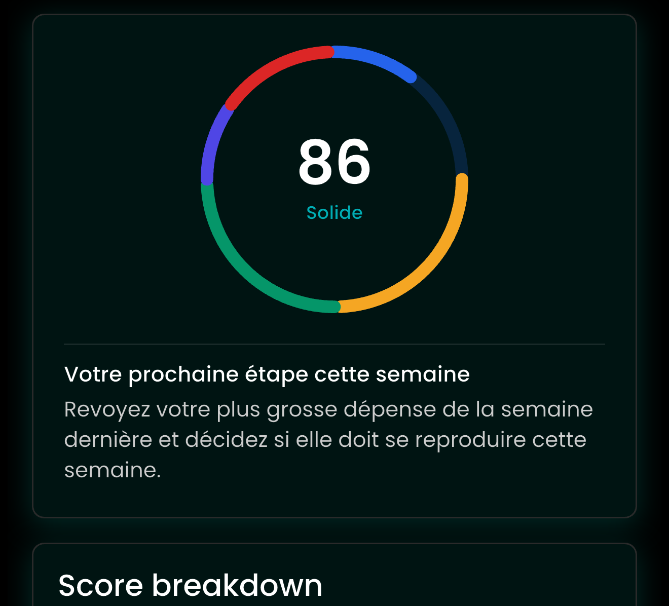Financial Health Score