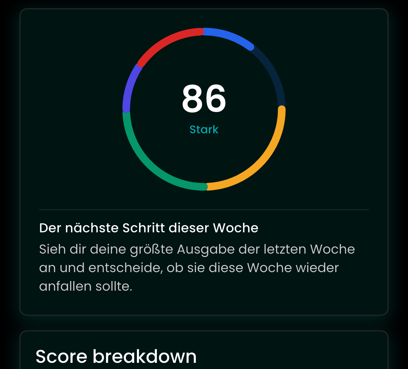 Financial Health Score